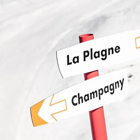 Le Centre - 3 Pieces Pour 6 Personnes 711 Apartment La Plagne